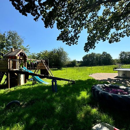 Hof Vierzehnender Im Hohen Venn - 70Qm Fachwerk-Studio - Grosses Wohn-Schlafzimmer Mit Dachterrasse Und Kaminofen - Separate Kueche - Perfekt Fuer Paare - Monschau - Eifel - Hunde Willkommen - Islandpferde Екстериор снимка