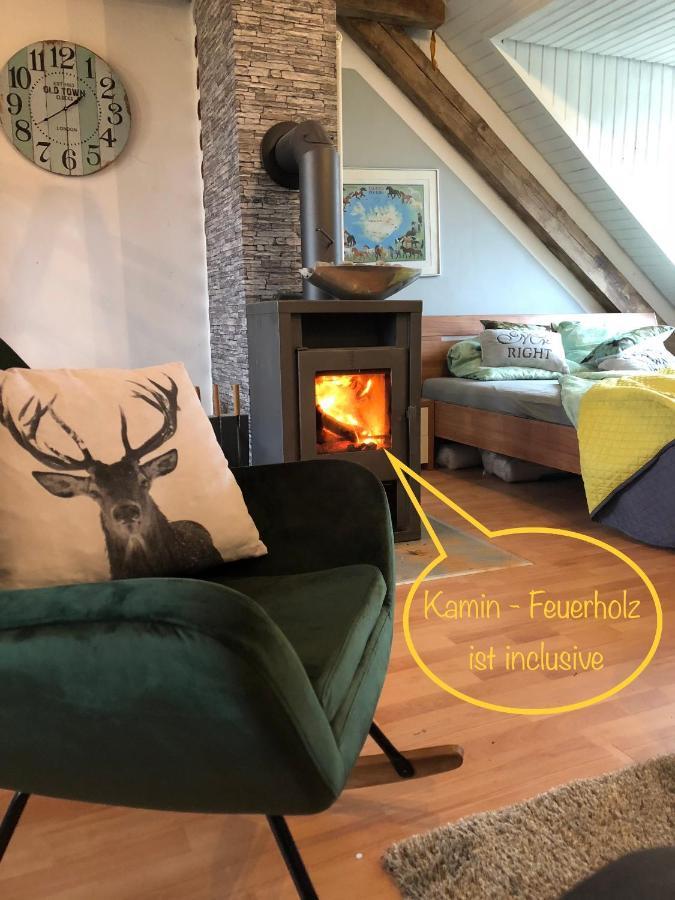 Hof Vierzehnender Im Hohen Venn - 70Qm Fachwerk-Studio - Grosses Wohn-Schlafzimmer Mit Dachterrasse Und Kaminofen - Separate Kueche - Perfekt Fuer Paare - Monschau - Eifel - Hunde Willkommen - Islandpferde Екстериор снимка
