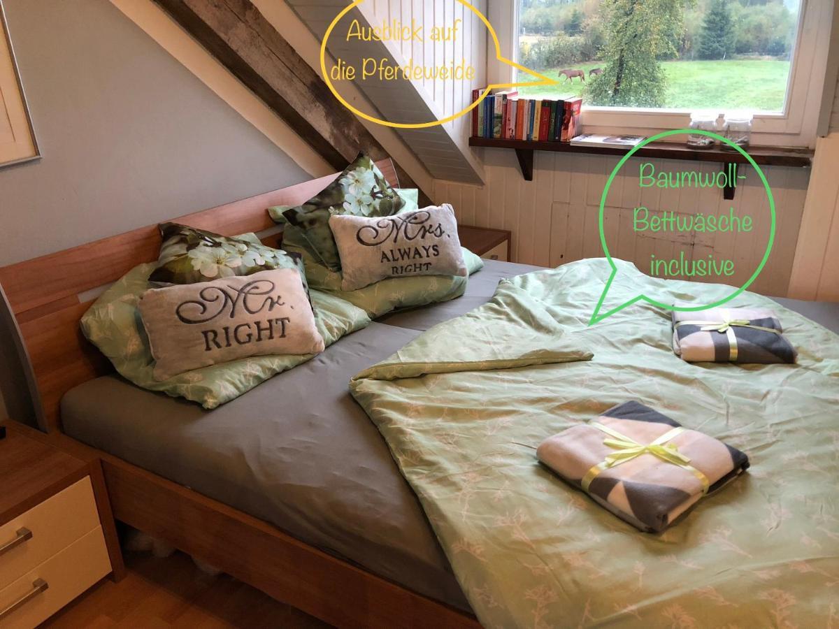 Hof Vierzehnender Im Hohen Venn - 70Qm Fachwerk-Studio - Grosses Wohn-Schlafzimmer Mit Dachterrasse Und Kaminofen - Separate Kueche - Perfekt Fuer Paare - Monschau - Eifel - Hunde Willkommen - Islandpferde Екстериор снимка