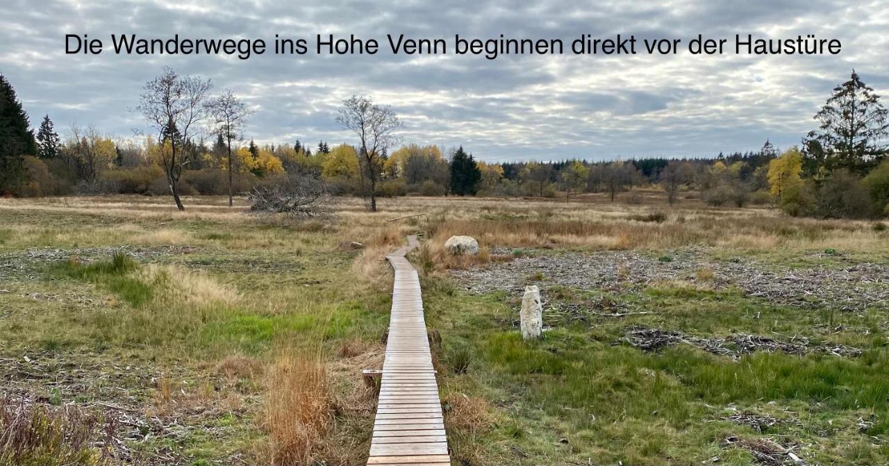 Hof Vierzehnender Im Hohen Venn - 70Qm Fachwerk-Studio - Grosses Wohn-Schlafzimmer Mit Dachterrasse Und Kaminofen - Separate Kueche - Perfekt Fuer Paare - Monschau - Eifel - Hunde Willkommen - Islandpferde Екстериор снимка