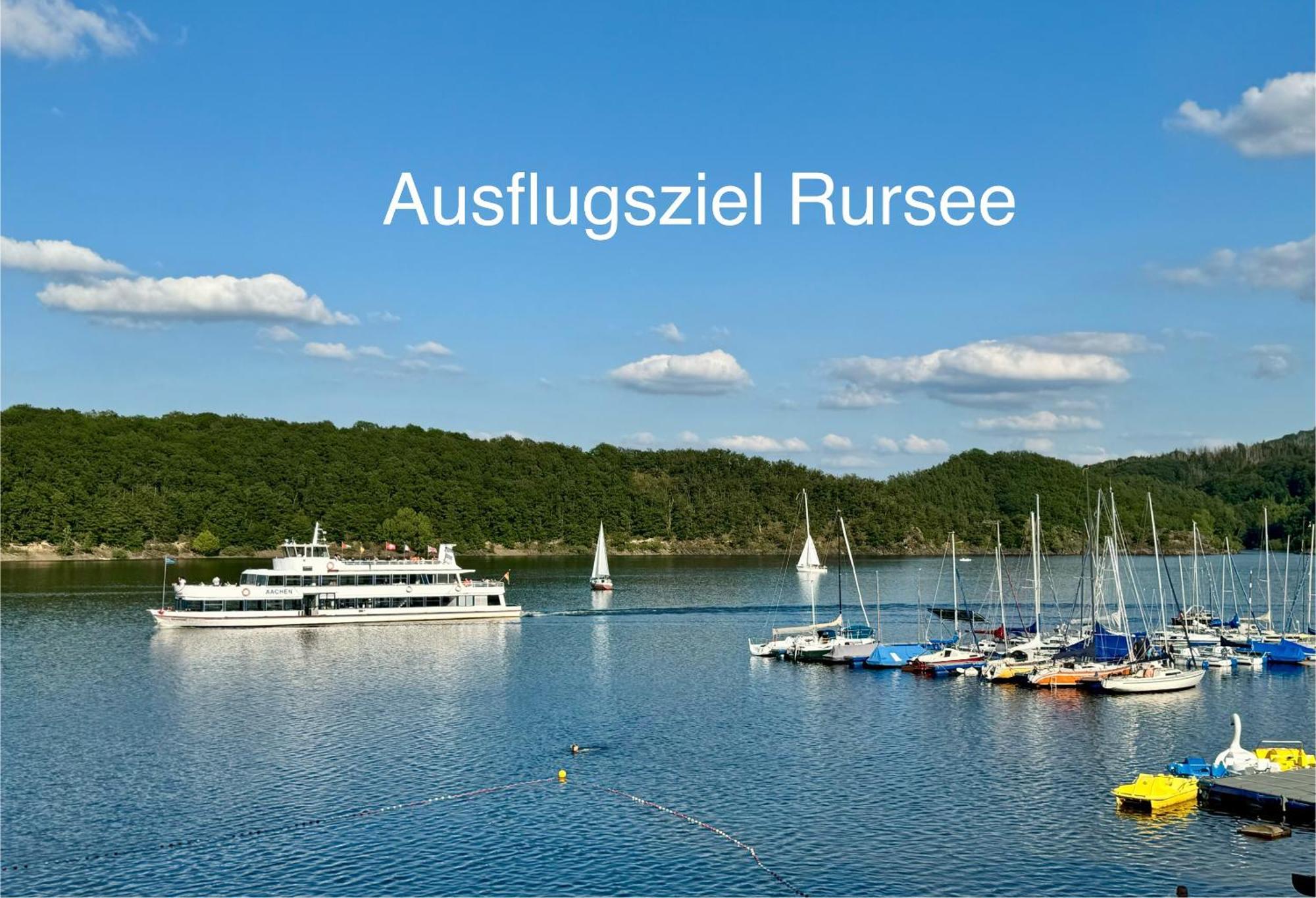 Hof Vierzehnender Im Hohen Venn - 70Qm Fachwerk-Studio - Grosses Wohn-Schlafzimmer Mit Dachterrasse Und Kaminofen - Separate Kueche - Perfekt Fuer Paare - Monschau - Eifel - Hunde Willkommen - Islandpferde Екстериор снимка