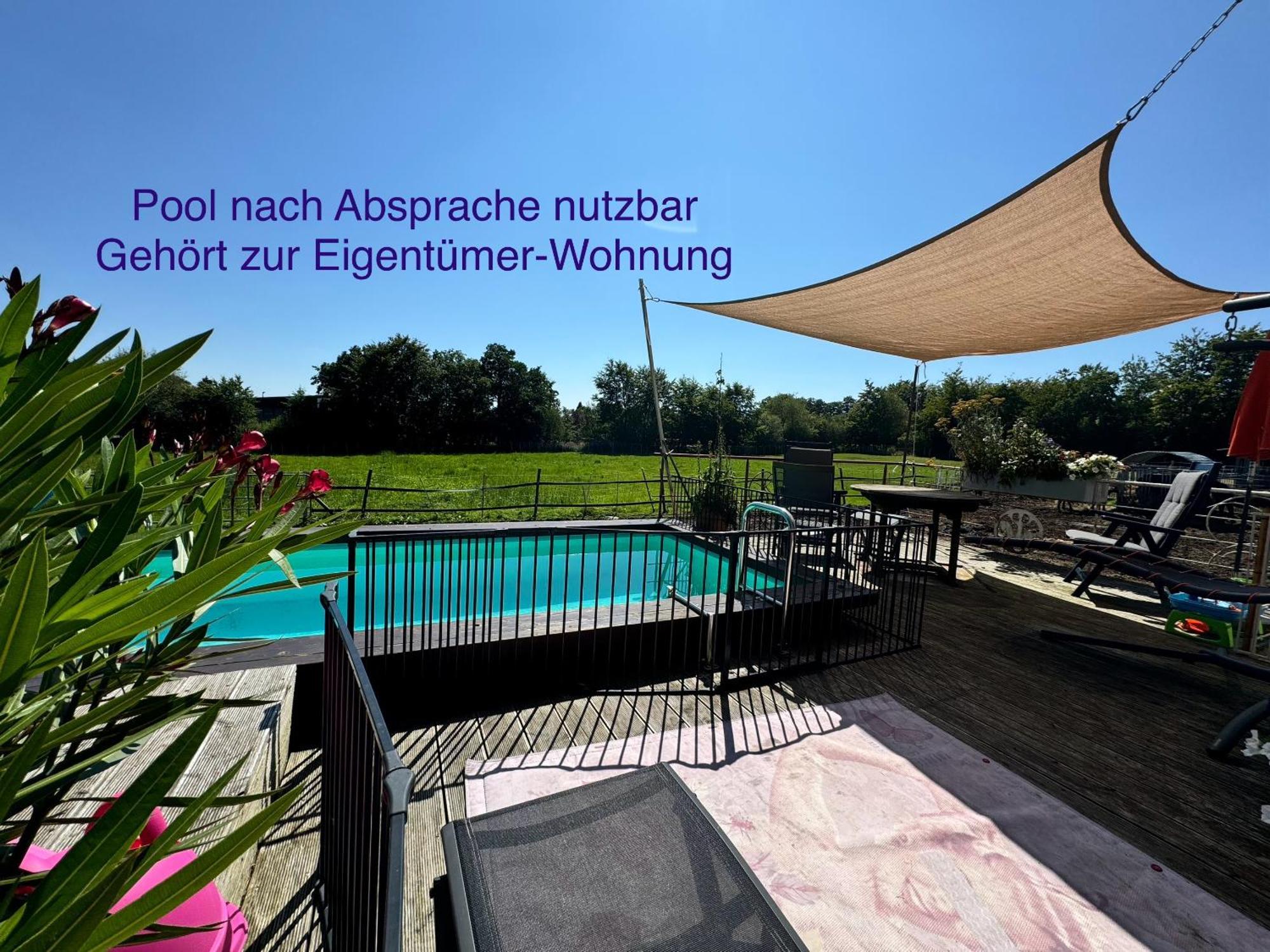 Hof Vierzehnender Im Hohen Venn - 70Qm Fachwerk-Studio - Grosses Wohn-Schlafzimmer Mit Dachterrasse Und Kaminofen - Separate Kueche - Perfekt Fuer Paare - Monschau - Eifel - Hunde Willkommen - Islandpferde Екстериор снимка