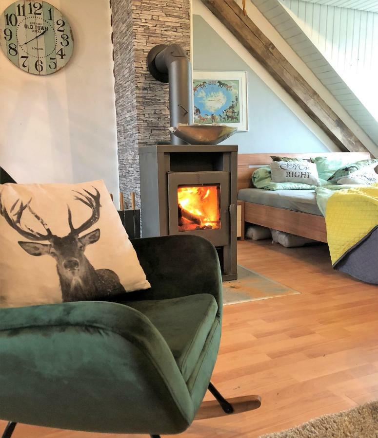 Hof Vierzehnender Im Hohen Venn - 70Qm Fachwerk-Studio - Grosses Wohn-Schlafzimmer Mit Dachterrasse Und Kaminofen - Separate Kueche - Perfekt Fuer Paare - Monschau - Eifel - Hunde Willkommen - Islandpferde Екстериор снимка