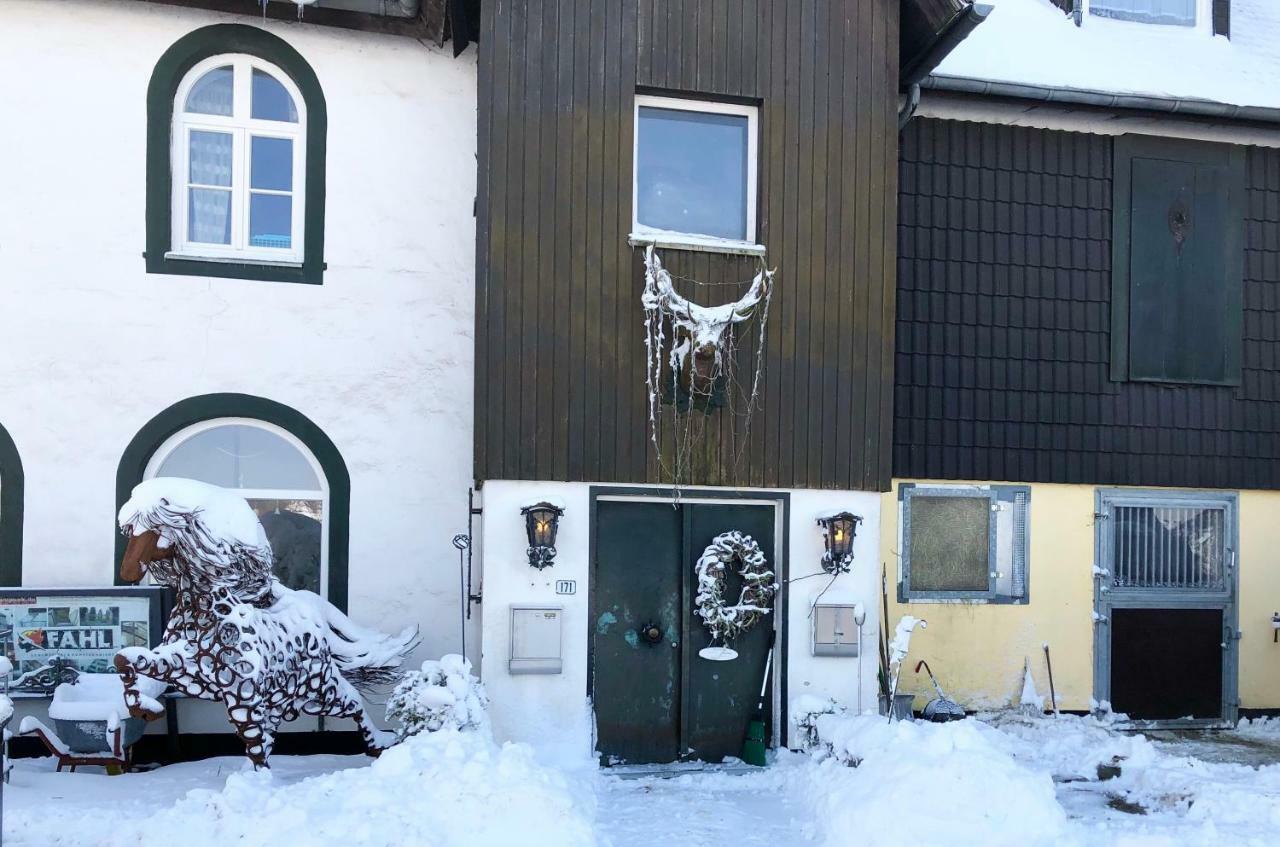 Hof Vierzehnender Im Hohen Venn - 70Qm Fachwerk-Studio - Grosses Wohn-Schlafzimmer Mit Dachterrasse Und Kaminofen - Separate Kueche - Perfekt Fuer Paare - Monschau - Eifel - Hunde Willkommen - Islandpferde Екстериор снимка