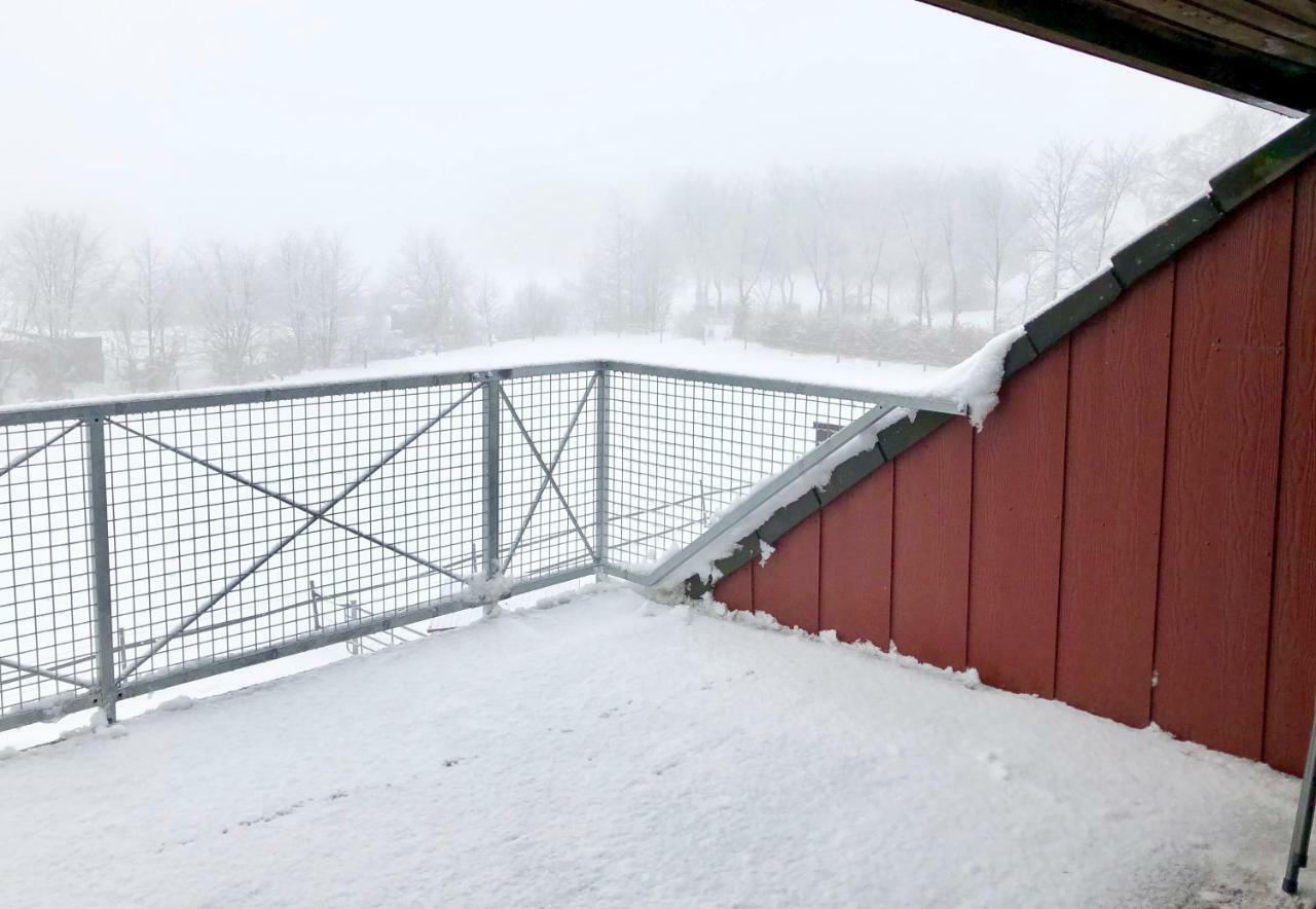 Hof Vierzehnender Im Hohen Venn - 70Qm Fachwerk-Studio - Grosses Wohn-Schlafzimmer Mit Dachterrasse Und Kaminofen - Separate Kueche - Perfekt Fuer Paare - Monschau - Eifel - Hunde Willkommen - Islandpferde Екстериор снимка
